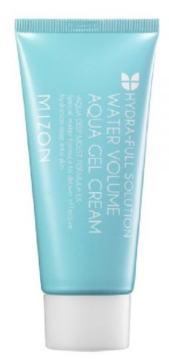 Mizon Watermax Aqua Gel Cream