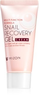 Mizon Snail Recovery Gel Cream