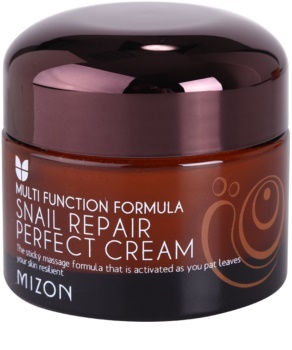 Mizon Snail Repair Perfect Cream