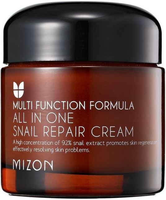Mizon Multi Function Formule All in One Snail Repair Cream