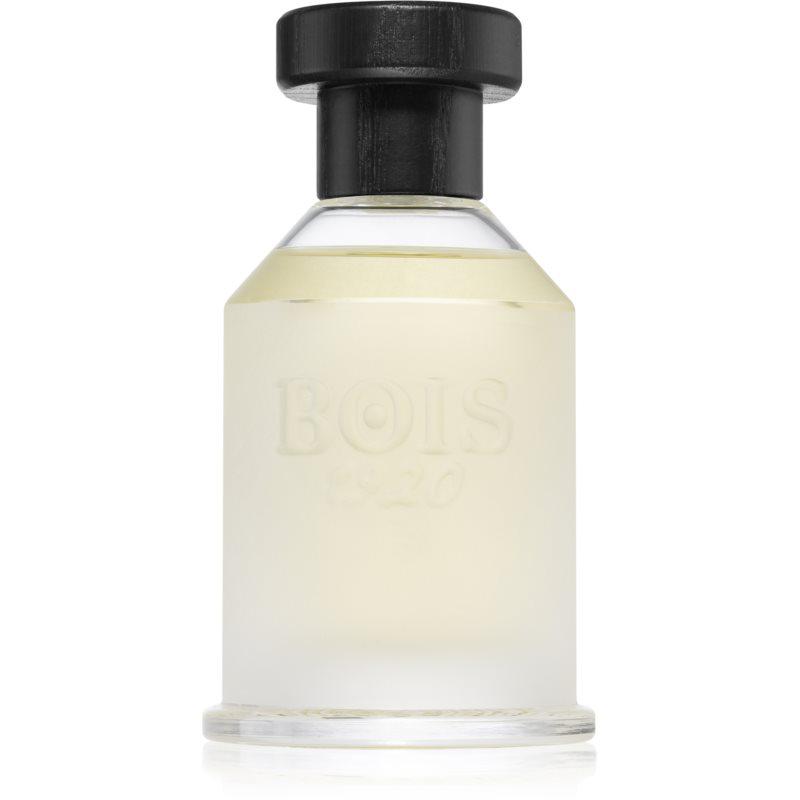 Bois 1920 Classic 1920 parfémovaná voda unisex