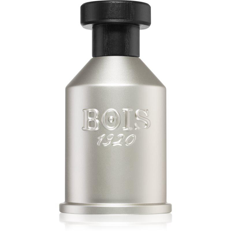 Bois 1920 Dolce di Giorno parfémovaná voda unisex