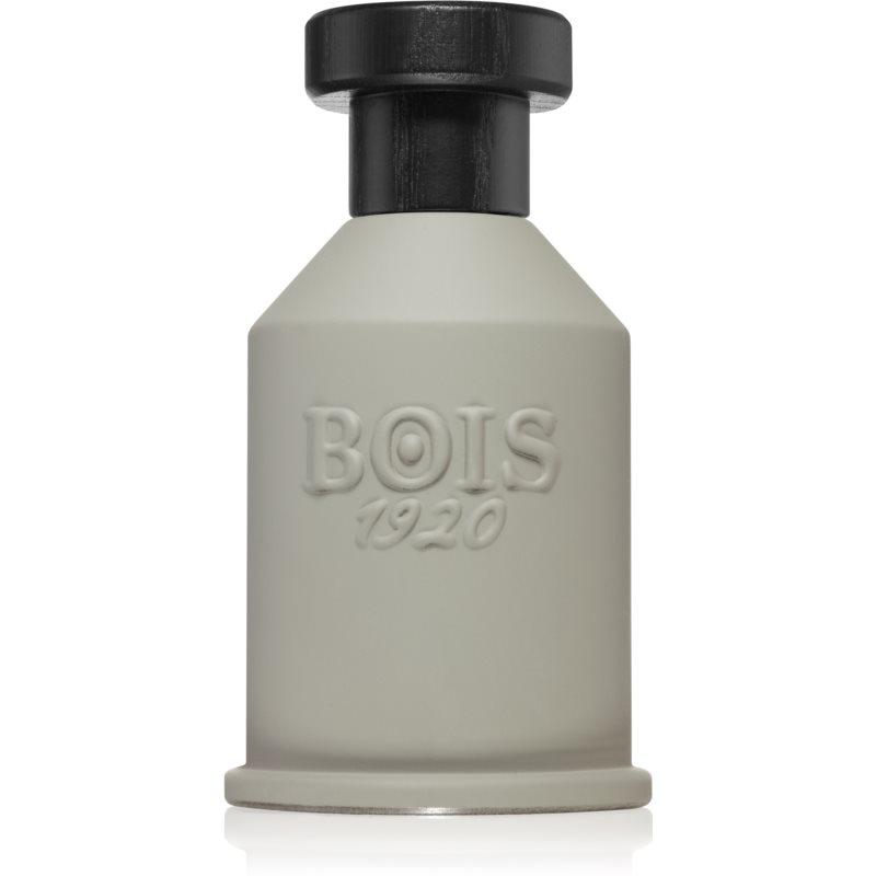 Bois 1920 Itruk parfémovaná voda unisex