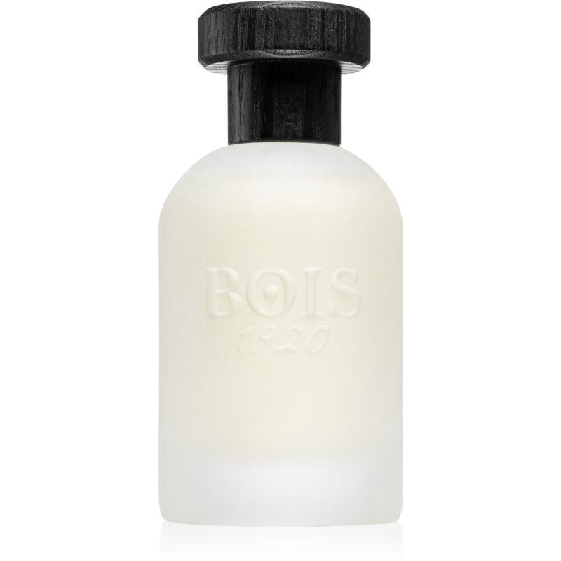 Bois 1920 Real Patchouly parfémovaná voda unisex