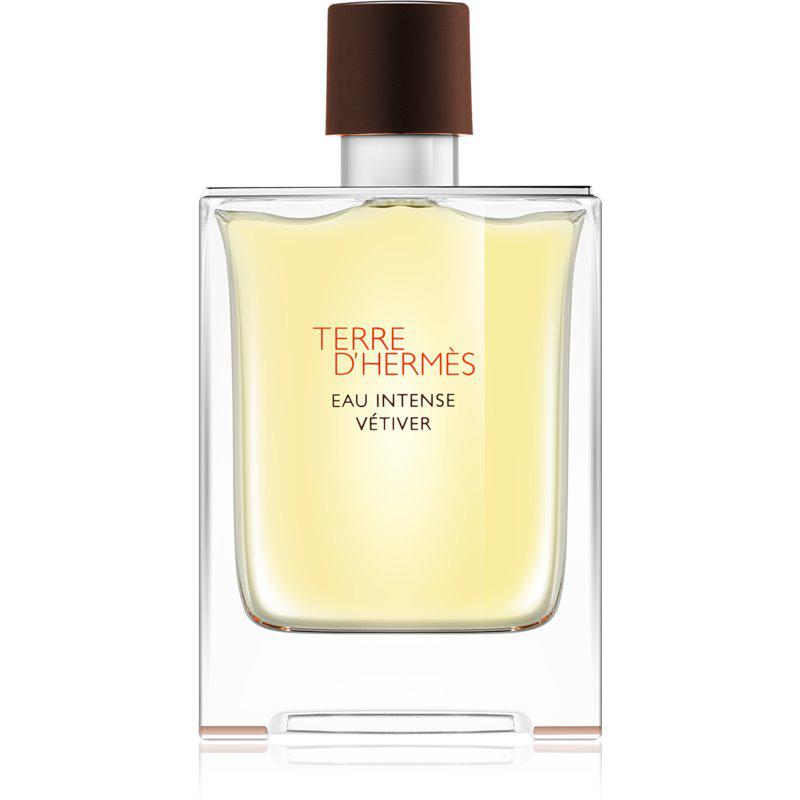 Hermès Terre d'Hermès Eau Intense Vétiver parfémovaná voda pro muže