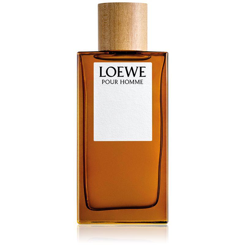 Loewe Loewe Pour Homme toaletní voda pro muže