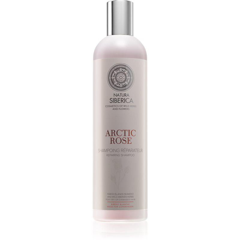 Natura Siberica Copenhagen Arctic Rose regenerační šampon pro suché a poškozené vlasy