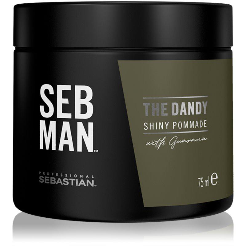 Sebastian Professional SEB MAN The Dandy pomádá na vlasy pro přirozenou fixaci