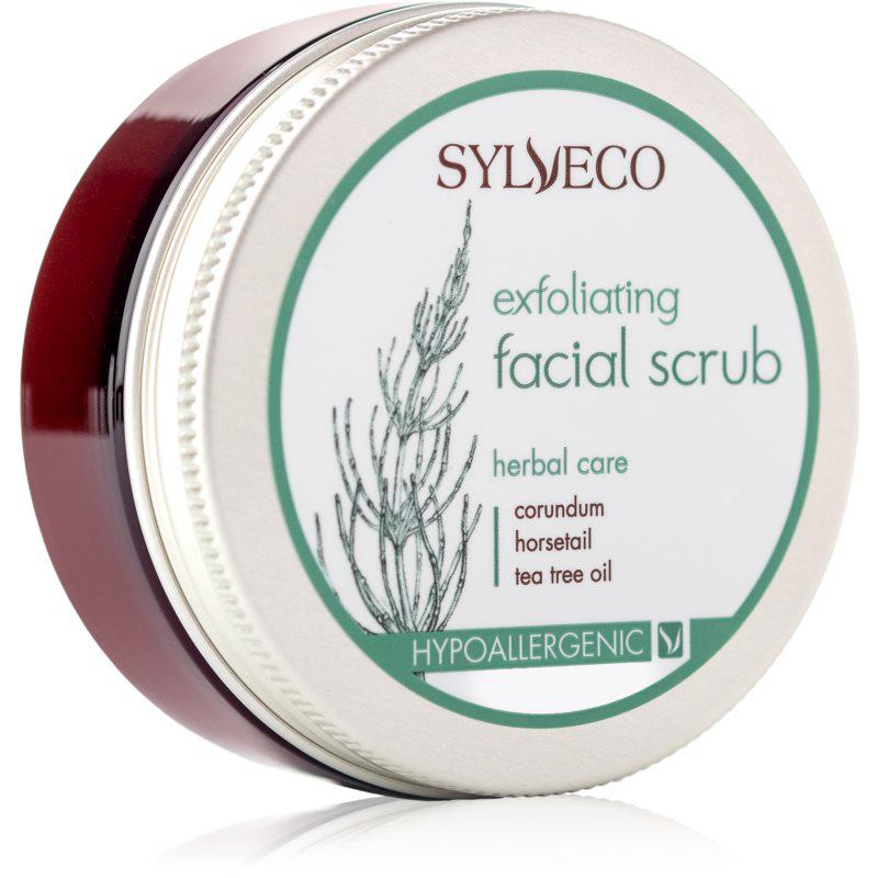 Sylveco Exfoliating pleťový peeling pro stažení pórů a matný vzhled pleti