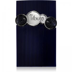 Afnan Tribute parfémovaná voda pro muže